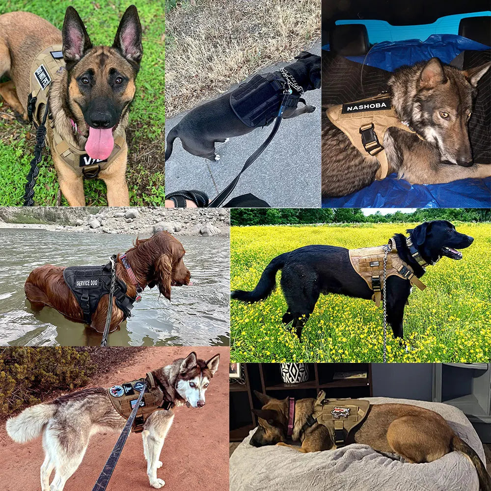 Military Dog Harness Set Leash Bags Patches